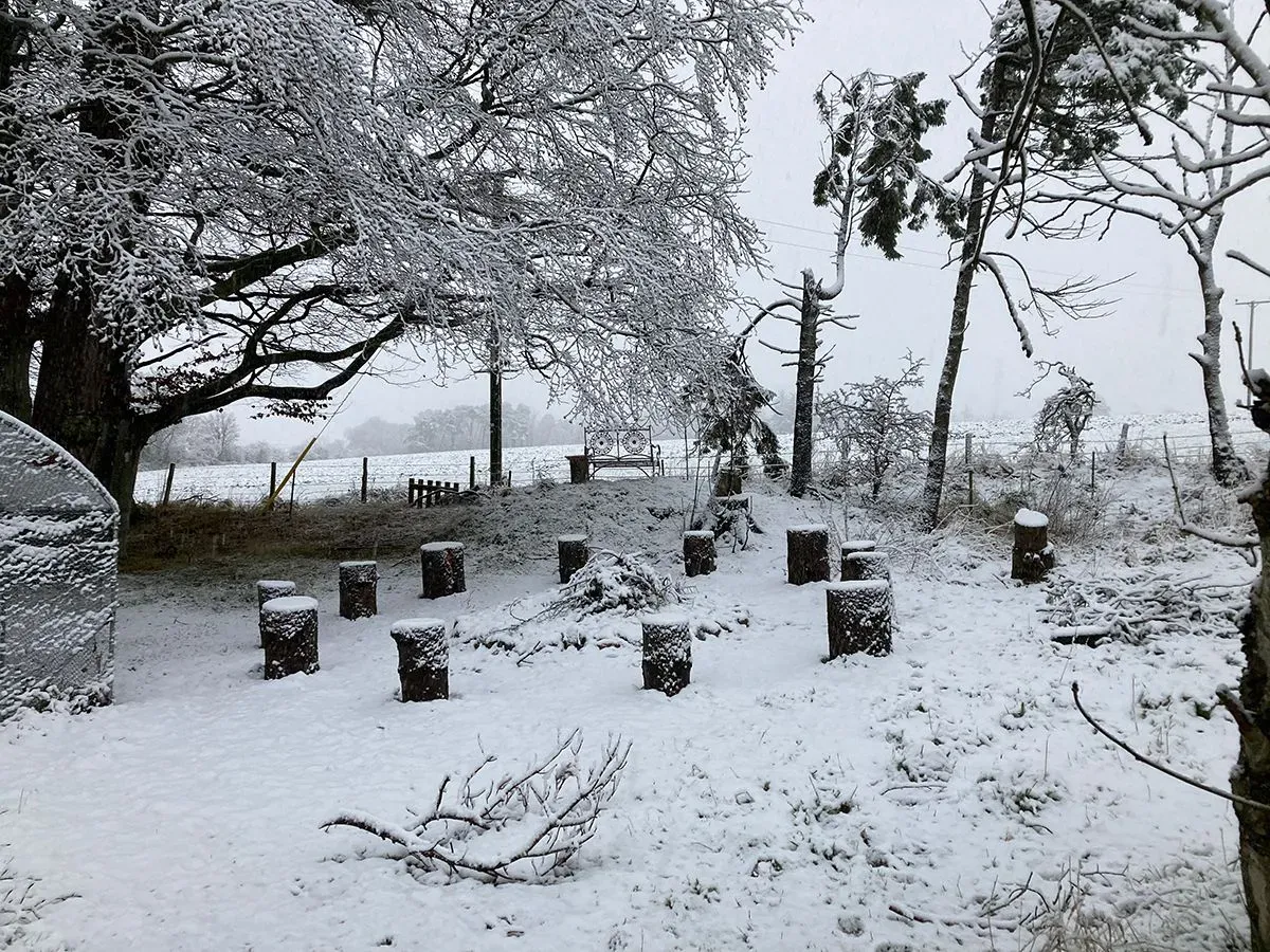 I Dreamed of Being Self-Sufficient