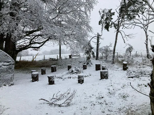 I Dreamed of Being Self-Sufficient