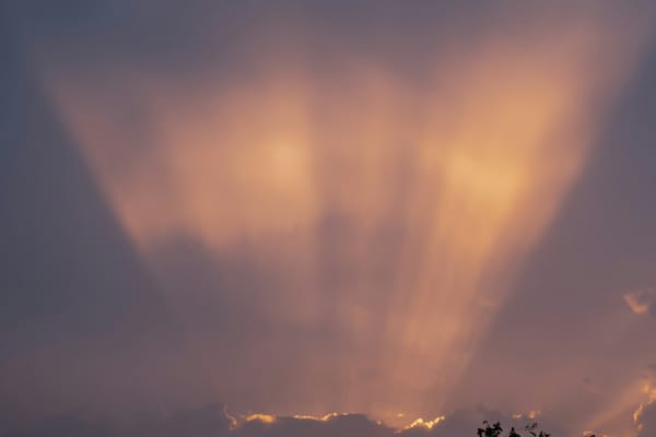 Podcast: 'Transcendence'